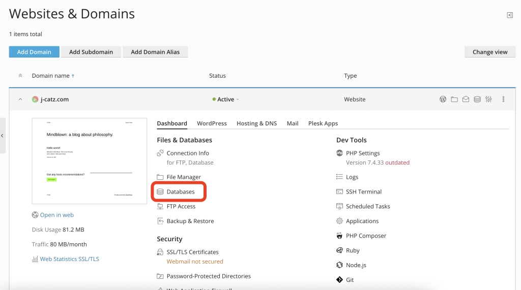 Websites & Domains > Databases